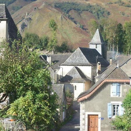 Gite Montagne Et Vie Bedous Екстериор снимка