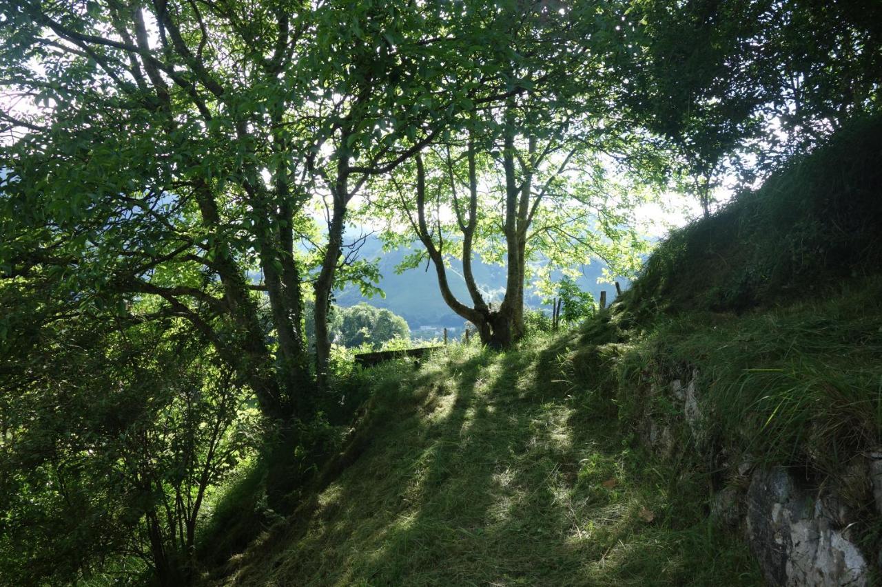 Gite Montagne Et Vie Bedous Екстериор снимка