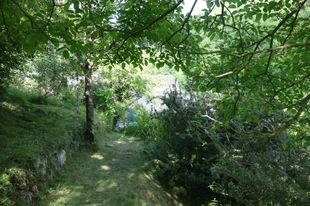 Gite Montagne Et Vie Bedous Екстериор снимка