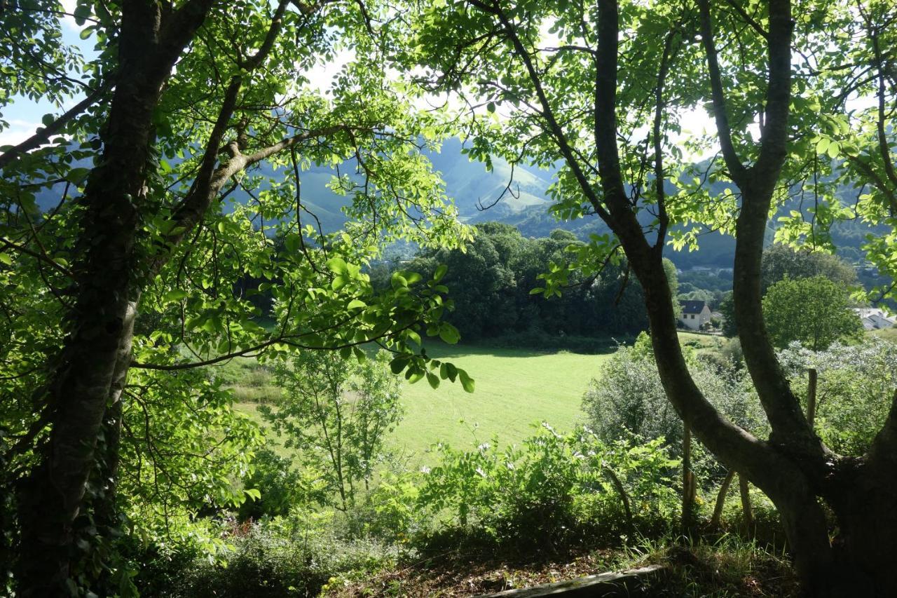 Gite Montagne Et Vie Bedous Екстериор снимка